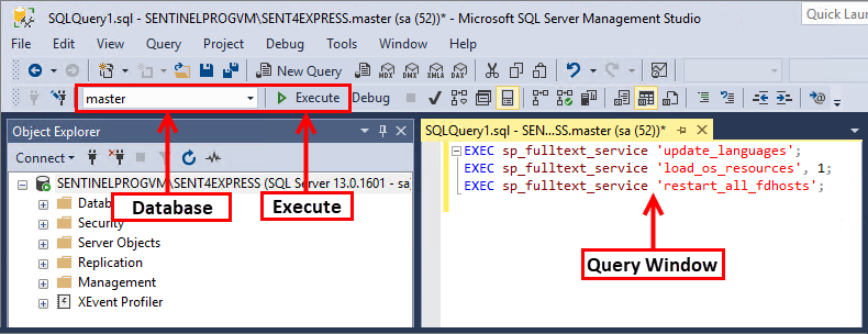 SQL Server Management Studio Execute Query